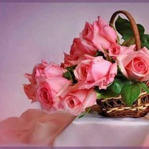 Meet your Posher, Abdullah