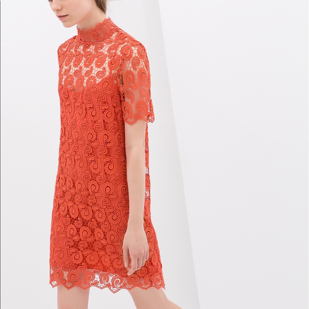 Zara lace dress
