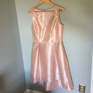 Alfred Sung D586 Blush Hi-low Dress