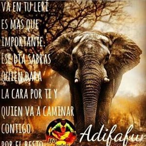 Meet your Posher, Lazaro