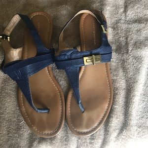 Blue tommy shoes