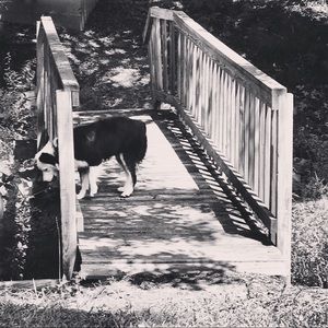 Meet your Posher, Shea