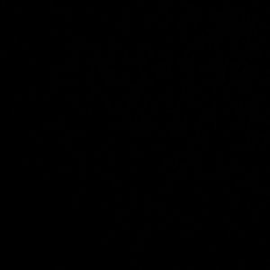 Meet your Posher, Serena