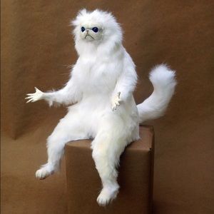 Meet your Posher, Sonali