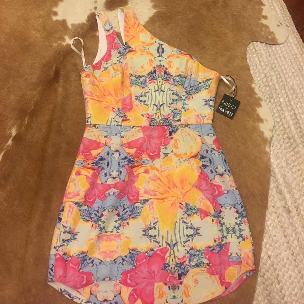 NBD x the Naven Twins dress