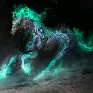 Meet your Posher, Darryl