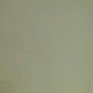 Meet your Posher, Ladonna