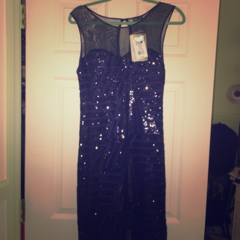 Large Lily Rose Navy Sequin Mesh Dress