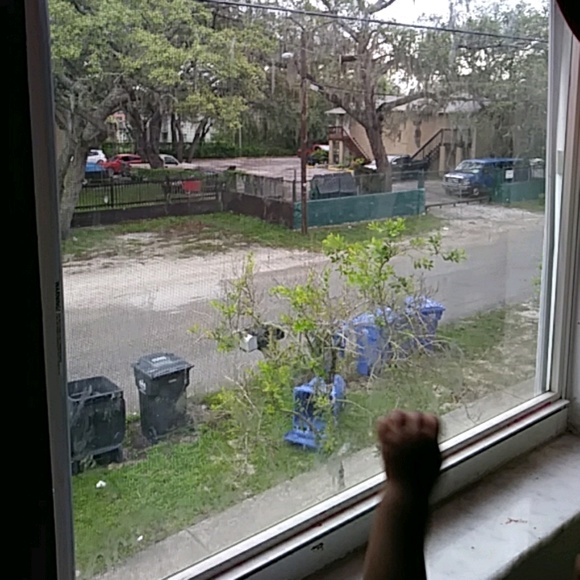 Meet your Posher, Futima - Picture 1 of 1