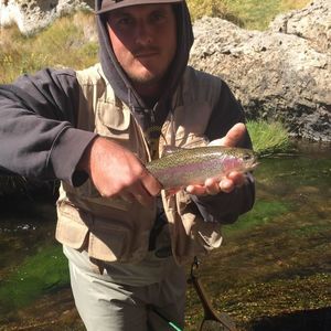 Meet your Posher, Justin