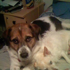 Meet your Posher, Judy