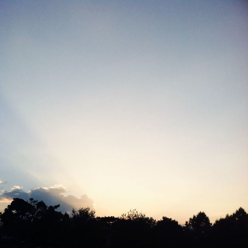 Meet your Posher, Chloe