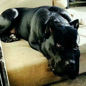 Meet your Posher, Mike