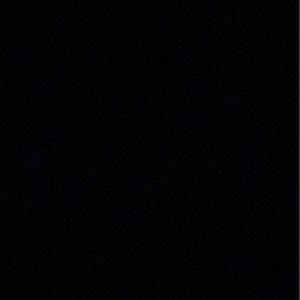 Meet your Posher, Iris