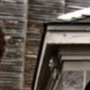 Meet your Posher, Caleb