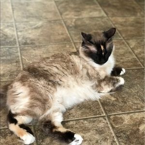 Meet your Posher, Sheri