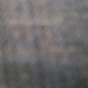 Meet your Posher, Lanaire