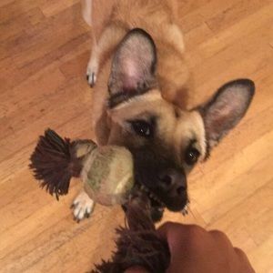 Meet your Posher, Abigail