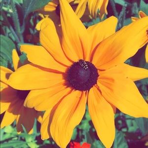 Meet your Posher, Sophia