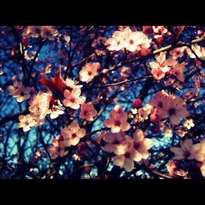 Meet your Posher, Faby