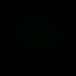 Meet your Posher, Susana