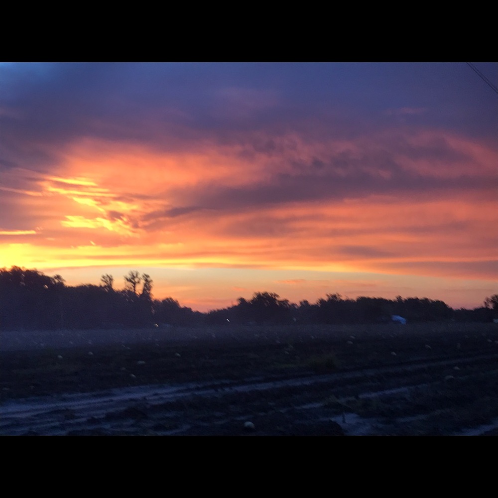 Meet your Posher, Ashlyn