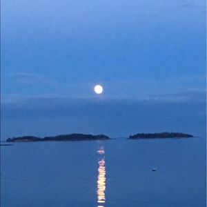 Meet your Posher, Ella