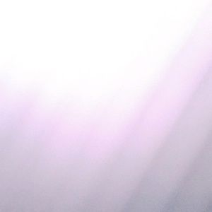 Meet your Posher, Gricelda