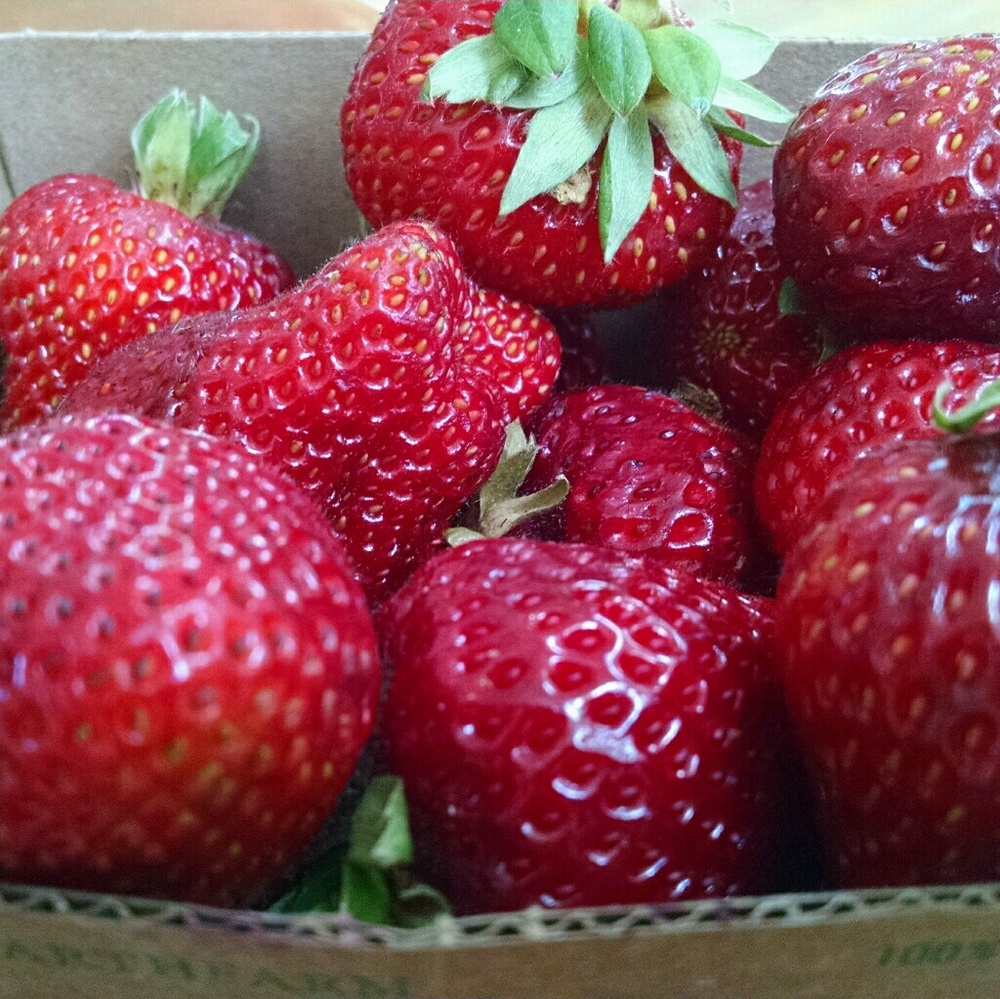 Meet your Posher, Anita