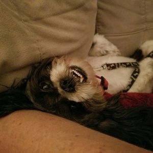 Meet your Posher, Andrea