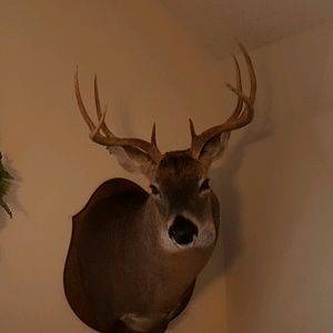 Meet your Posher, Darrell