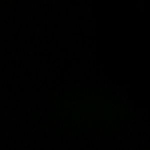 Meet your Posher, Tyreem