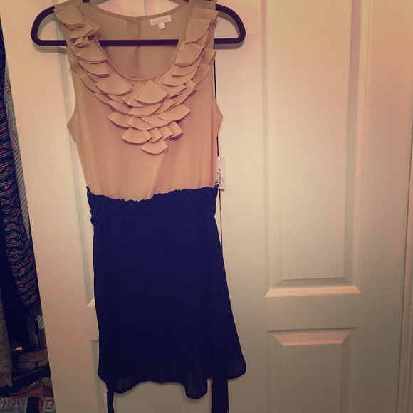 Charming Charlie Cute Party Dress - Picture 1 of 2