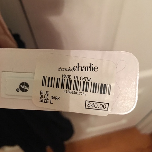 Charming Charlie Cute Party Dress - Picture 2 of 2