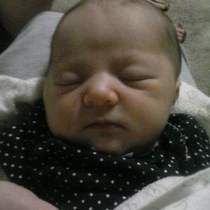 Meet your Posher, Leilauni