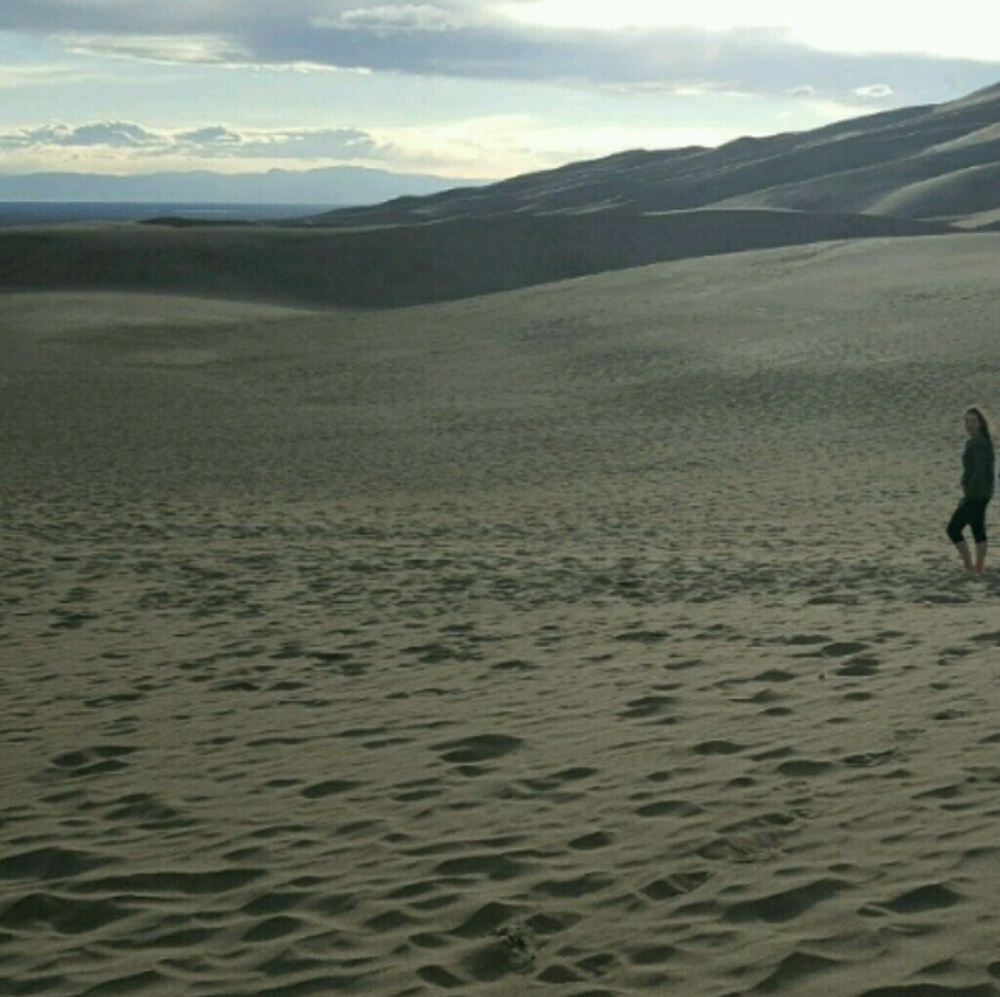 Meet your Posher, Paisley