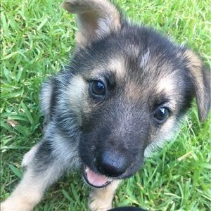 Meet your Posher, Madai