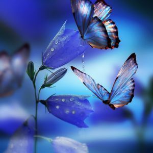 Meet your Posher, Almeda