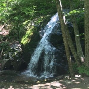 Meet your Posher, Patricia