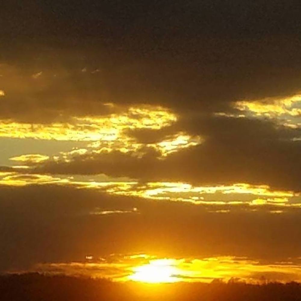 Meet your Posher, Courtney.