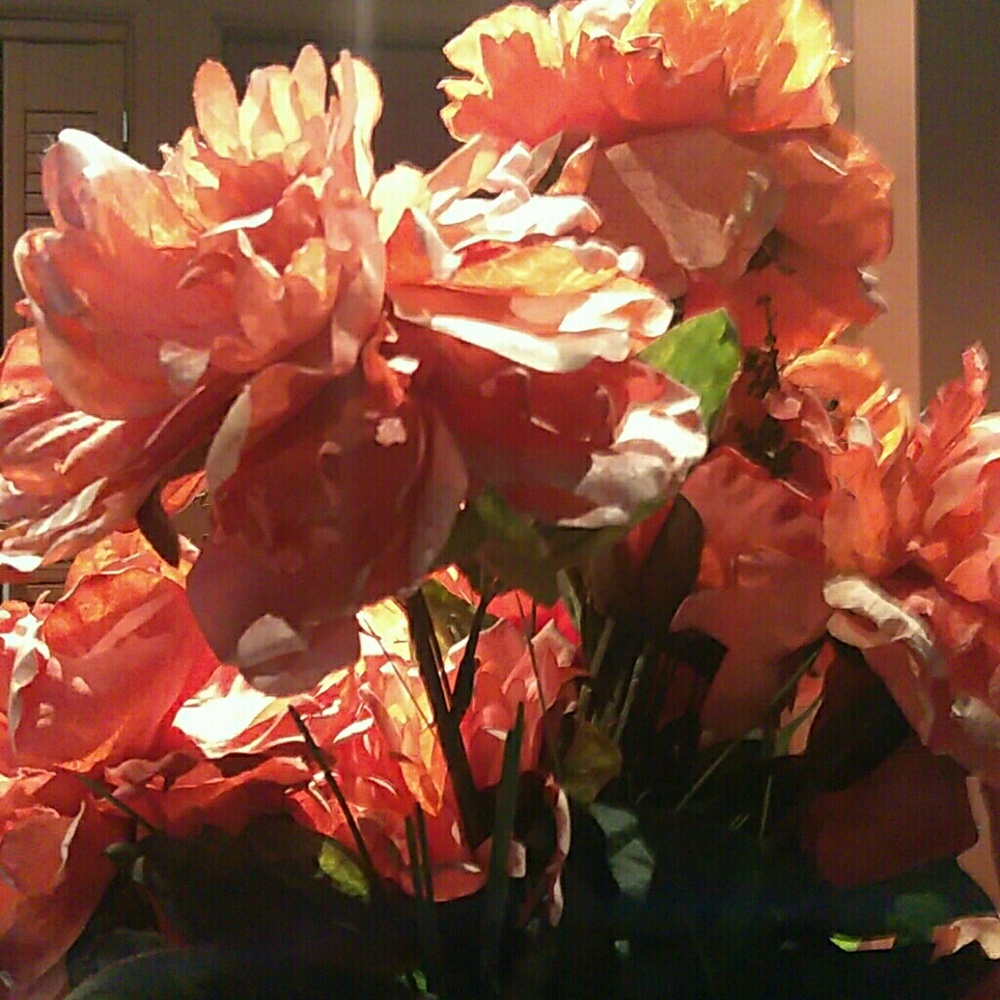 Meet your Posher, Sherre