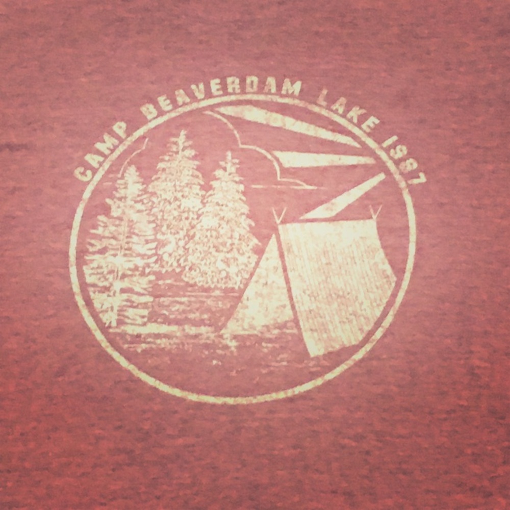 Aeropostale Fitted T-shirt