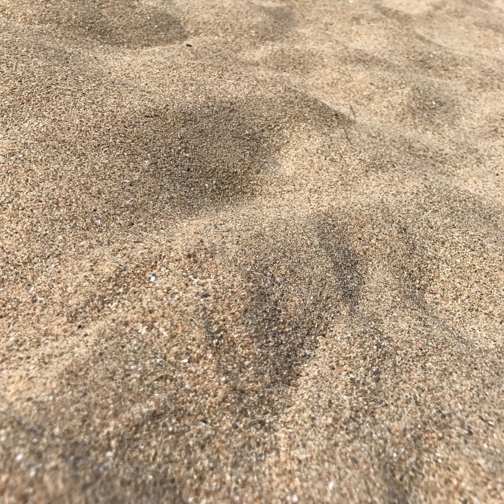 Meet your Posher, Meg