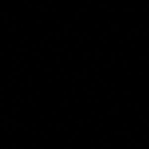 Meet your Posher, Delma