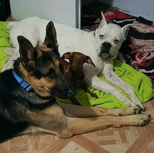 Meet your Posher, Deedee