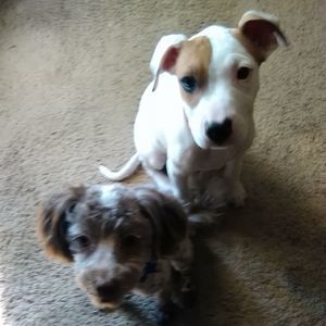 Meet your Posher, Seline