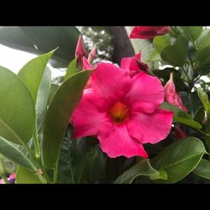 Meet your Posher, Rita