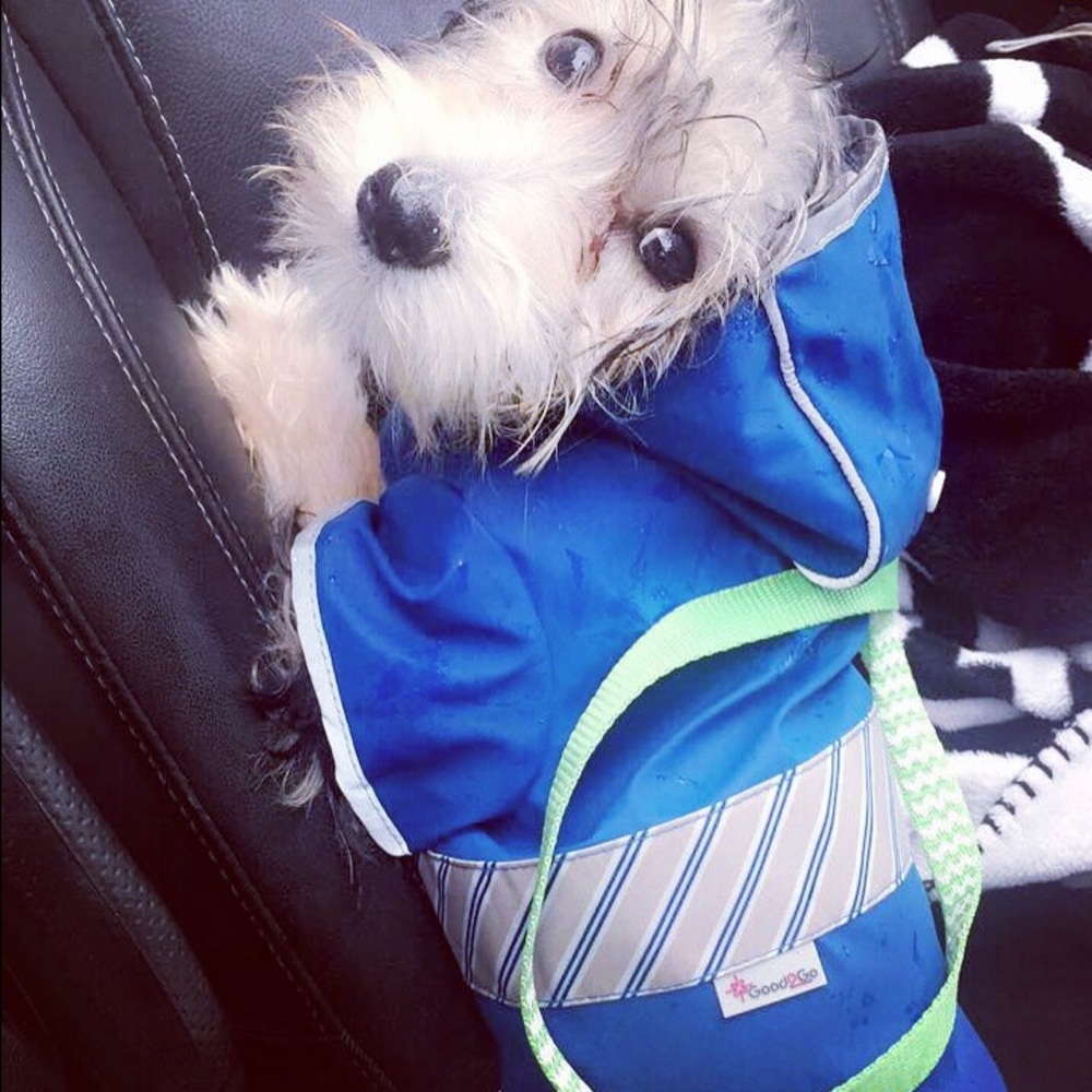 Meet your Posher, Stephanie