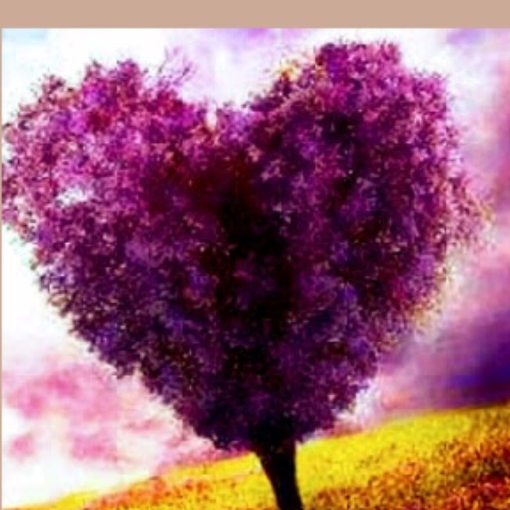 Meet your Posher, Linda : D