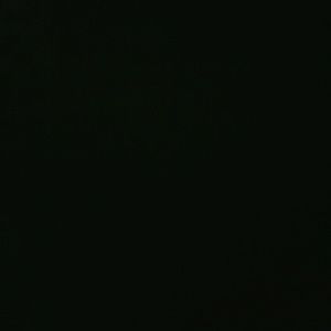 Meet your Posher, Asher